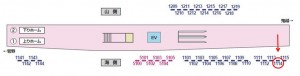 京成　八幡駅／／№1114駅看板・駅広告、位置図