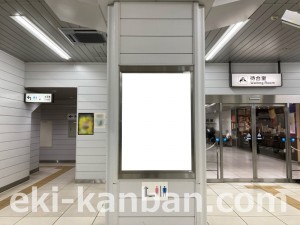 JR東海／三島駅／№B-138№138駅看板、写真2